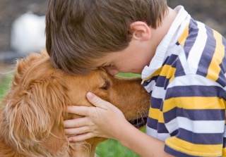 Navigating the Heart: Helping Children Cope with Pet Loss